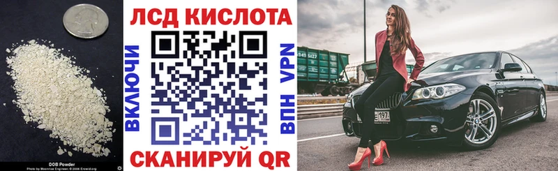 Купить закладки  Новоржев  Лсд 25 экстази ecstasy 